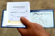 新能源车年检