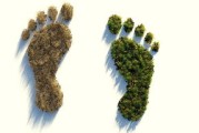 环保阻燃剂，科技赋能绿色未来的关键材料