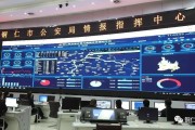 上海公安局数据处罗忆