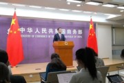 中美商业应用领域竞争态势分析中国后来居上的机遇与挑战