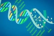 生物大数据分析