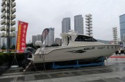 新能源钓鱼是什么梗