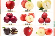 1.苹果的种类分析