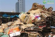 农村致富项目新能源补贴政策