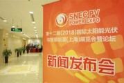 江苏林洋新能源有限公司介绍