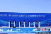 沈阳新能源车企