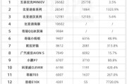 成都新能源股份有限公司