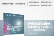 大数据时代的审计创新研究思路