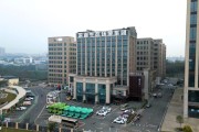 城市新能源公司发展现状及建议