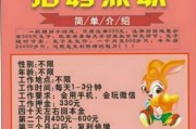 新能源租聘公司