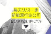 中双新能源有限公司怎么样