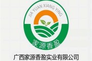 广西佳家新能源汽车有限公司