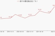 大数据基金100(001113)