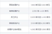 中石化新星能源有限公司