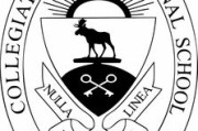 中国重点大学排名，探索高等教育的顶尖力量