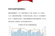 国产新能源汽车龙头品牌