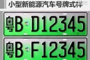 新能源车牌号可以买吗