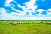 从雪山到森林，中国科学家保护生物多样性天堂