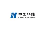 上海华能新能源有限公司