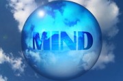 企业国有产权交易操作规则，深入理解与实用指南