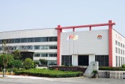 湖南新能源材料公司：发展现状和前景展望