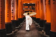 张本智和，以双手合十，传递希望与坚韧—纪念东日本大地震的温暖瞬间