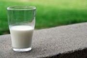 乳糖生产厂家，从牛奶到餐桌背后的科技与创新