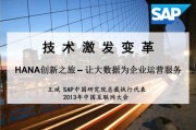 大数据公司是什么意思