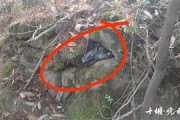 四川小山村意外发现炸弹，考古专家的惊喜与深意