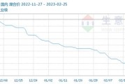海南新源能源有限公司
