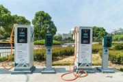 新能源汽车公共领域