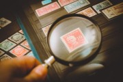 东港股份，投资潜力与风险评估