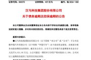 购买新能源车的证明