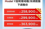 特斯拉新能源指标申请