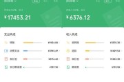 新能源额度进度查询结果