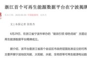 浙江新能能源发展有限公司