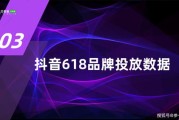 2020年抖音大数据报告