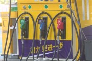 梧州新能源燃油补贴多少
