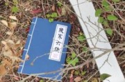 武林绝学手游下载