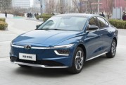 新能源指标车型