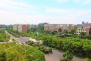 新能源科学与工程学校