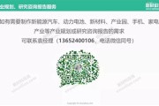 新能源电动汽车报告总结