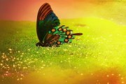 航天梦想绘图：简单线条勾勒出的美丽幻想