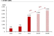 二季度业绩超预期小幅上调全年资本支出应对军备竞赛
