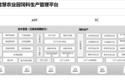 贵州大数据发展800字