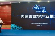 政务服务和大数据管理局局长