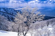 深入解析，美元兑日元（USD/JPY）汇率动态及其影响因素
