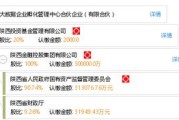 陕西大数据集团是国企吗