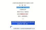 新能源购车名单查询系统