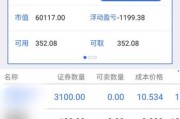 新能源股票pe